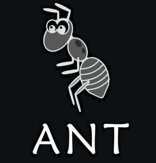 ANT Design